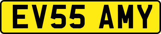 EV55AMY