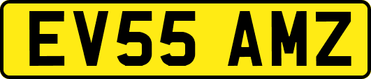 EV55AMZ