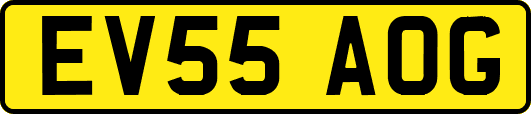EV55AOG