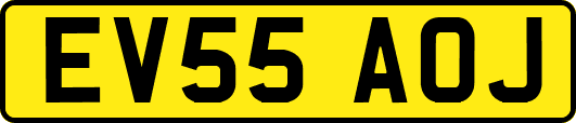 EV55AOJ