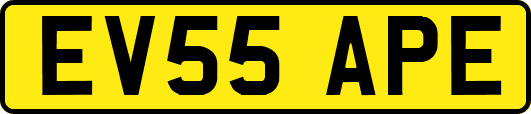 EV55APE