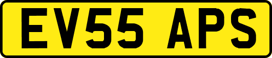 EV55APS