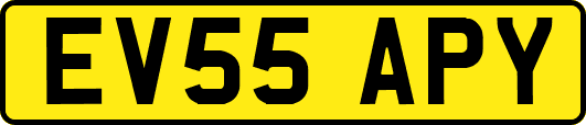 EV55APY