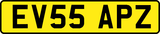 EV55APZ
