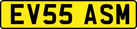 EV55ASM
