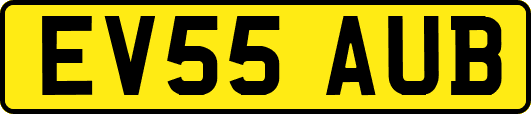EV55AUB