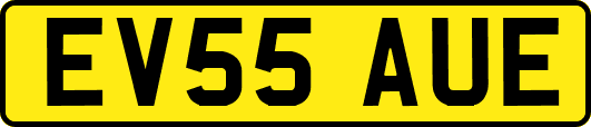 EV55AUE