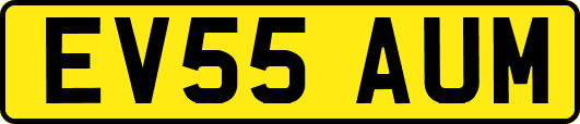 EV55AUM