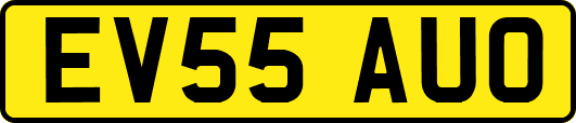 EV55AUO