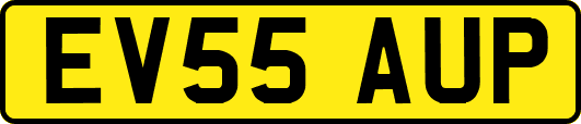 EV55AUP