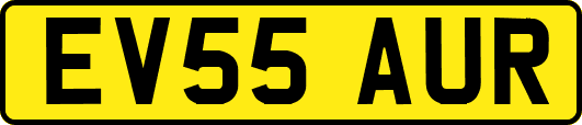 EV55AUR