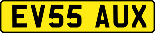 EV55AUX