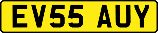 EV55AUY