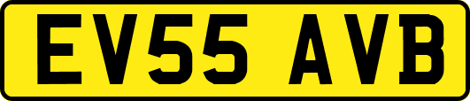 EV55AVB