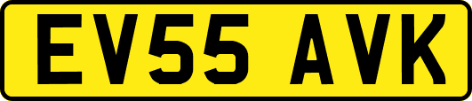 EV55AVK
