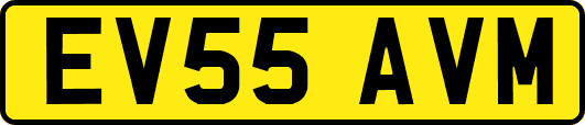 EV55AVM
