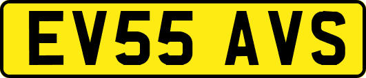EV55AVS