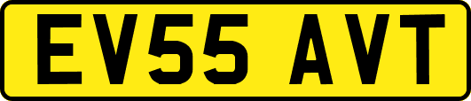 EV55AVT