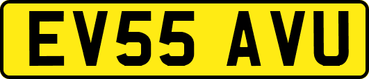 EV55AVU