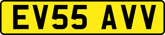 EV55AVV
