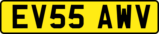 EV55AWV