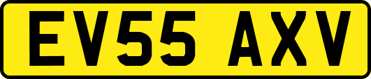 EV55AXV
