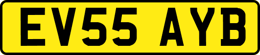 EV55AYB