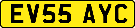 EV55AYC