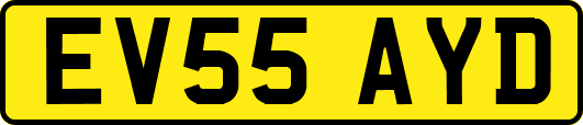 EV55AYD