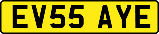 EV55AYE