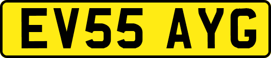 EV55AYG