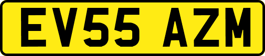 EV55AZM
