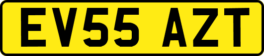 EV55AZT