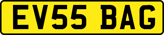 EV55BAG