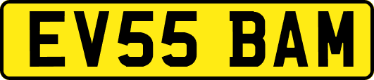 EV55BAM