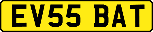 EV55BAT