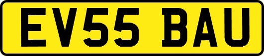 EV55BAU