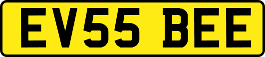 EV55BEE
