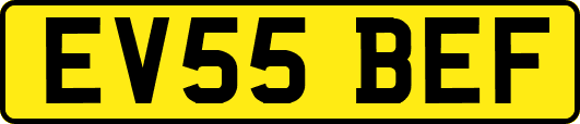 EV55BEF