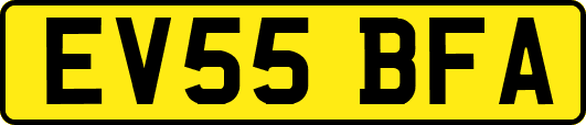 EV55BFA