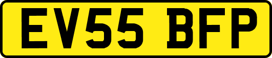 EV55BFP