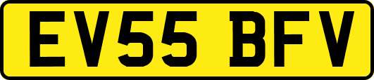 EV55BFV