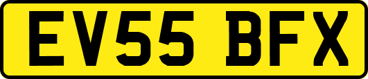 EV55BFX