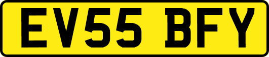 EV55BFY