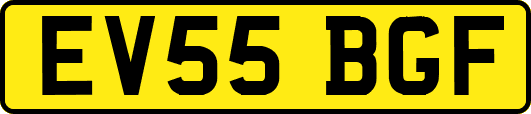 EV55BGF