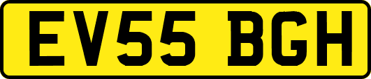 EV55BGH
