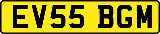 EV55BGM
