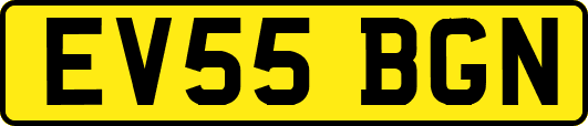 EV55BGN