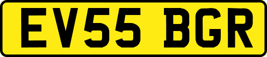 EV55BGR