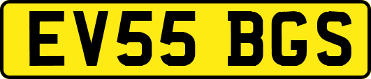EV55BGS